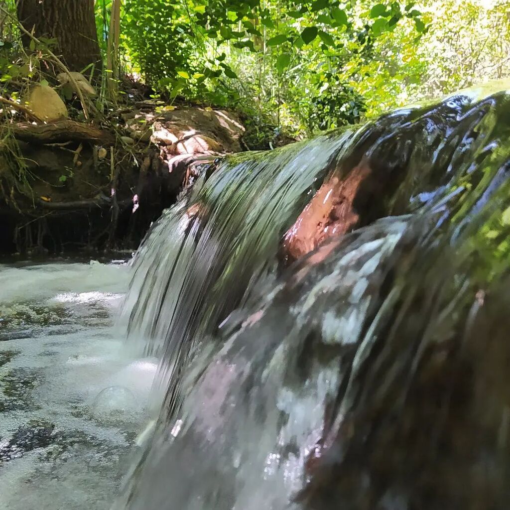 Alvaro G. Ghisolfo tweet media