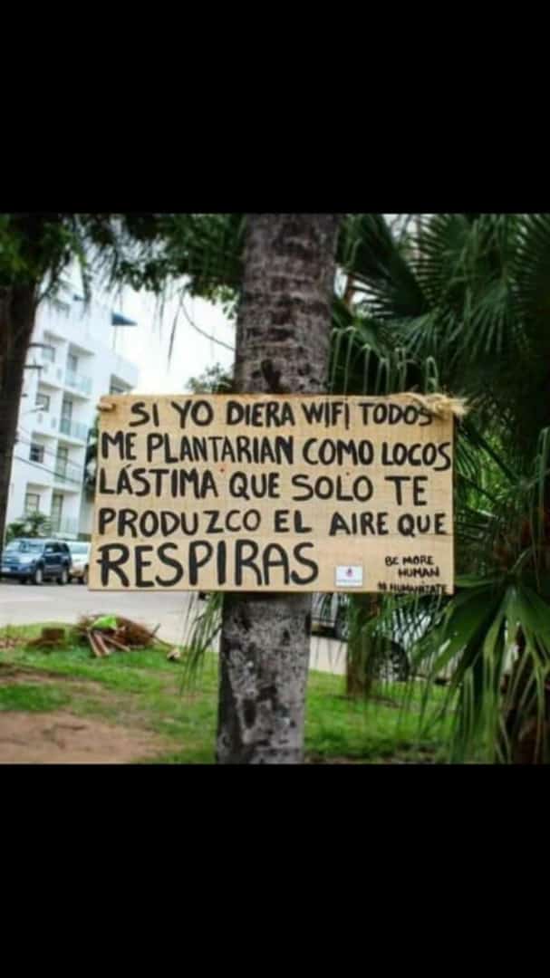 ecopracticas's tweet photo. #Arboles #Aire #Vida https://t.co/4BtZejmYzt
