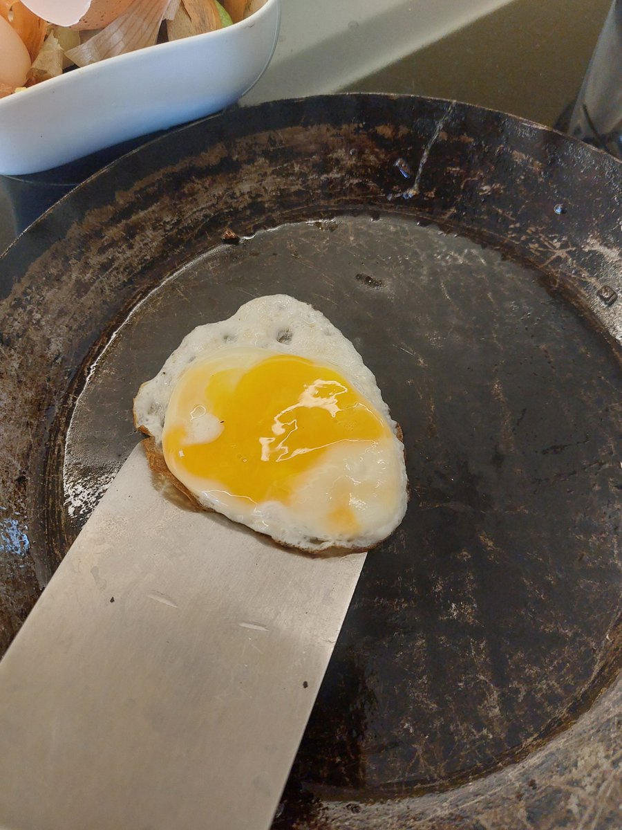 GrunzeugD's tweet image. #Spiegelei von #Zwergwelsumer und #Seidenhuhn