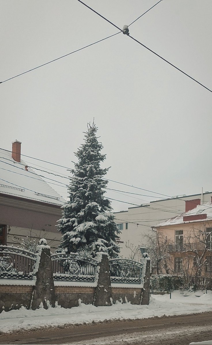 My favourite snowy city💫