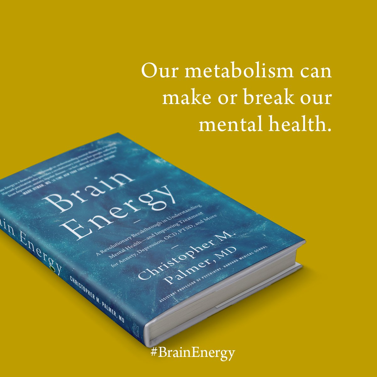 In the same way that #metabolic problems can affect your weight, heart, pancreas, liver, kidneys, and other organs... 

metabolic problems can also impact your #brain.

When that happens, you will have symptoms of what we call #mentalillness.