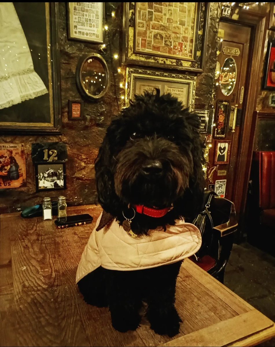 DirtyDicksEdn's tweet photo. Cutest puppy of the rugby crowd, Luna🌙🍻 
#dirtydicks #dirtydickspub #dirtydicksbar #dirtydicksedinburgh #rosestreet #rosestreetedinburgh #dogsinpubs #dogfriendly #pubclassic #productofscotland #whiskypub #whiskybar #maltofthemonth #whisky #singlemalt #singlemaltscotchwhisky https://t.co/P4MXXFxlPt