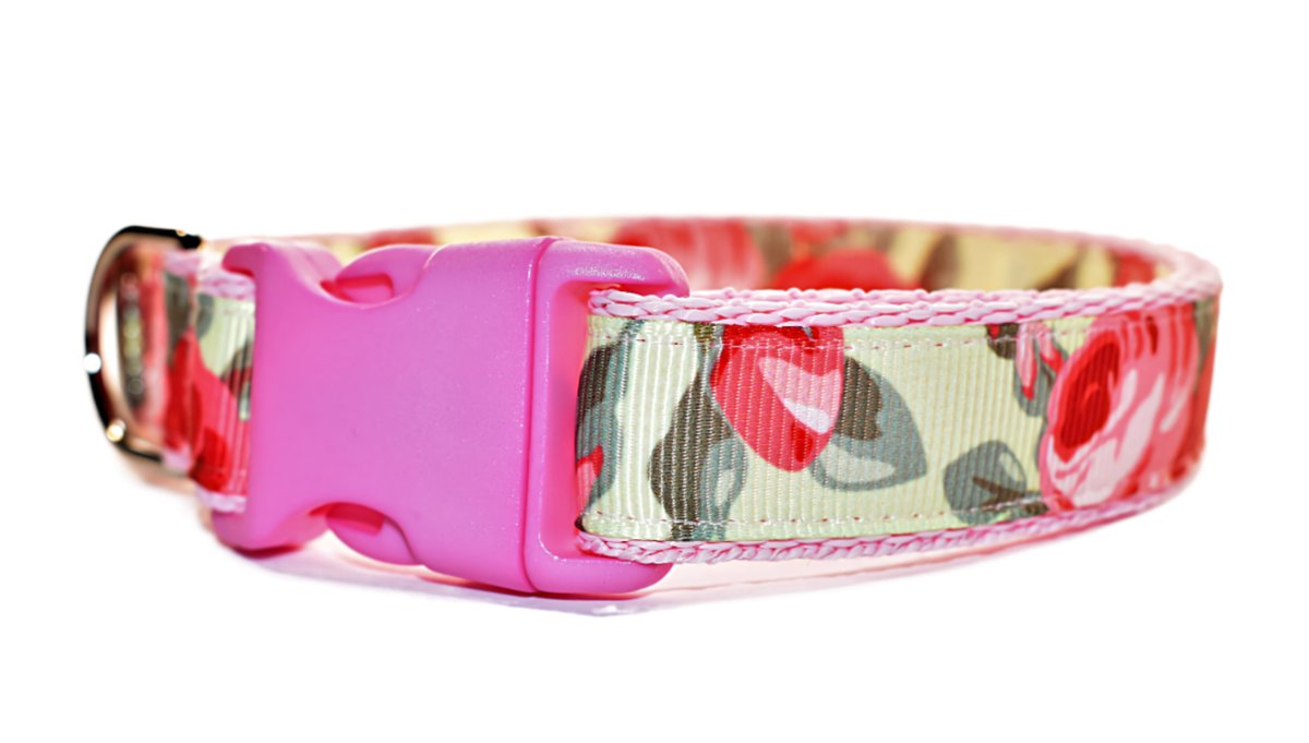 BonLovesCollars's tweet photo. Check out Dog Puppy Collar, Roses On Yellow On Pink, Small and Medium Dogs, Adjustable https://t.co/4gngRct3og #eBay via @eBay_UK https://t.co/POwt9yZ8uk