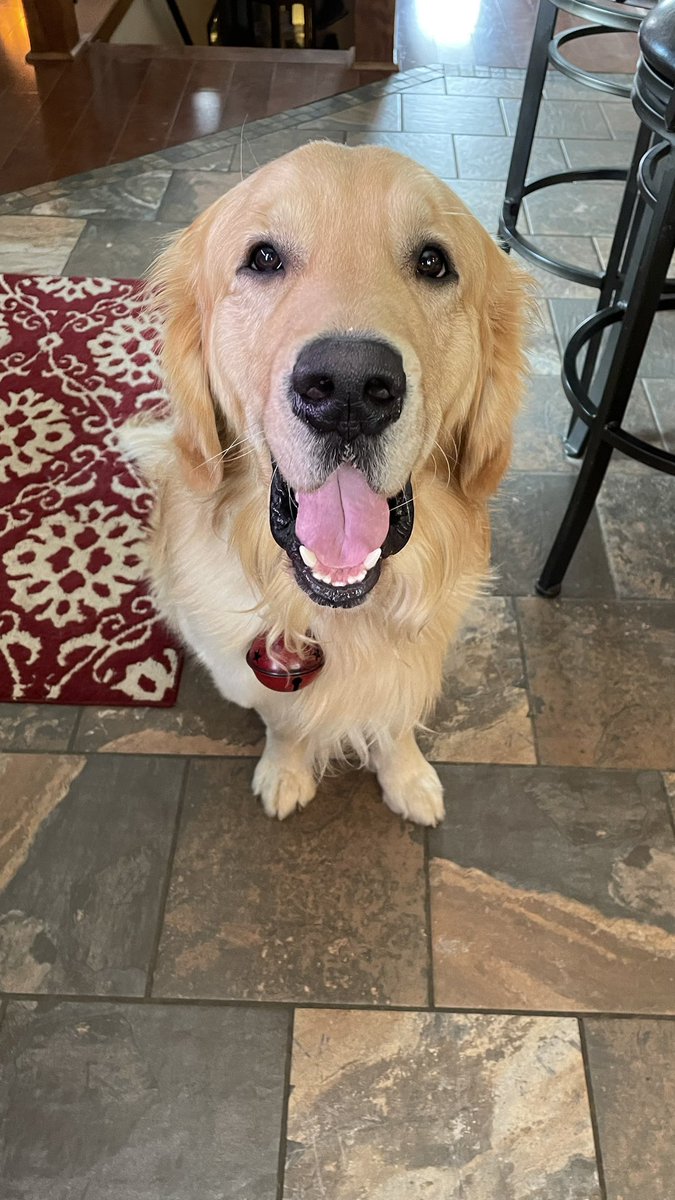 ᴸⁱˢᵃ ᴿᵉᵃᵈ tweet media