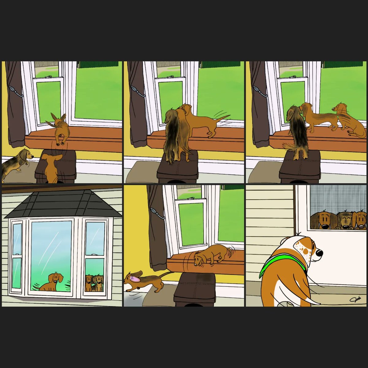 soukicomics's tweet photo. Puppies in the window! The only thing missing is all of the daschund barks... otherwise, this is 100% accurate!
#dogcomics #webcomics #comics #cutecomics #daschund #daschundpuppy #minidaschund #beaglemix #visit #playdate #visitinghome #goinghome https://t.co/UXlDKwYDmV