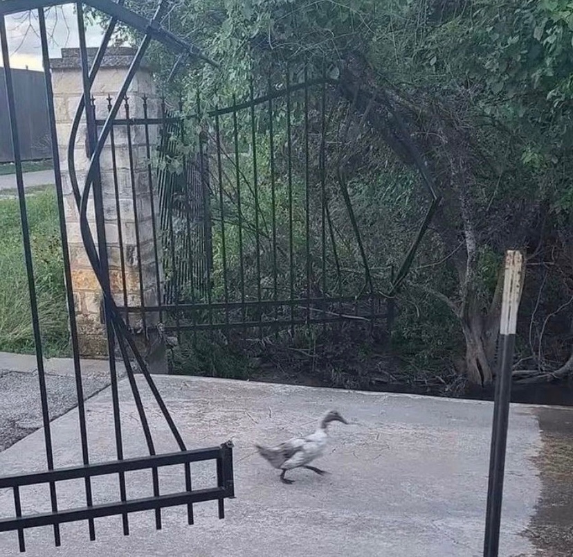 World0fEcho's tweet image. his power…