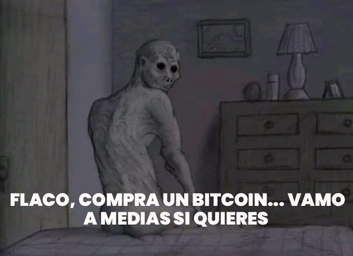 Conex Agency tweet media