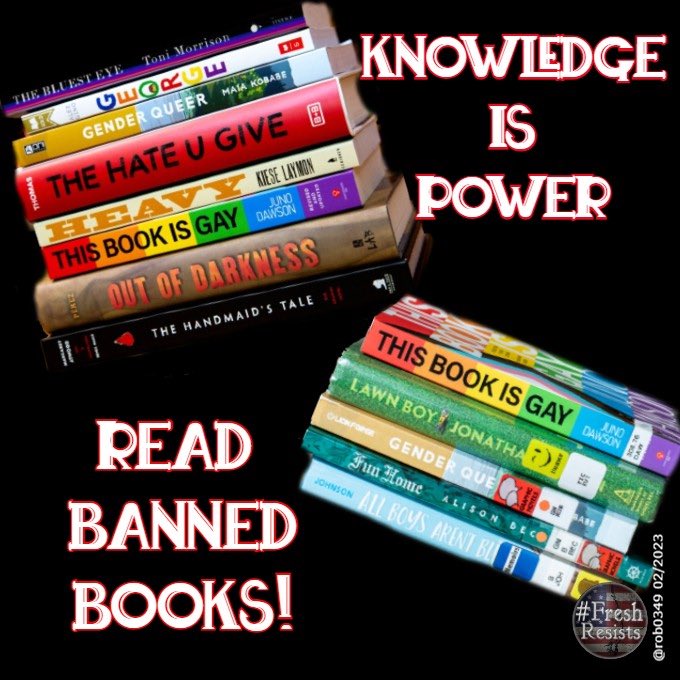 LqLana's tweet image. School districts are banning books. One district banned the biography of the 1st Black POTUS. The removal of LGBTQ+, Black, and Indigenous books is the Republican goal. Our goals should be removing Republicans from office and reading banned books. #FreshResists