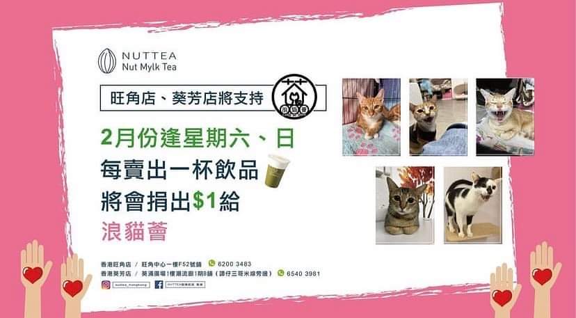 Jack27688344's tweet photo. 📢可以支持良店同時幫助流浪動物機構嘅機會又嚟喇！
今個2月份逢星期六、日，只要喺 #NUTTEA 嘅旺角同葵芳店買嘢飲，每賣出一杯就會捐出$1比 #浪貓薈 ！

Support #YellowEconomicCircle 💛💪🏻

Pictures from 浪貓薈 FB https://t.co/XrpVapKmwj
