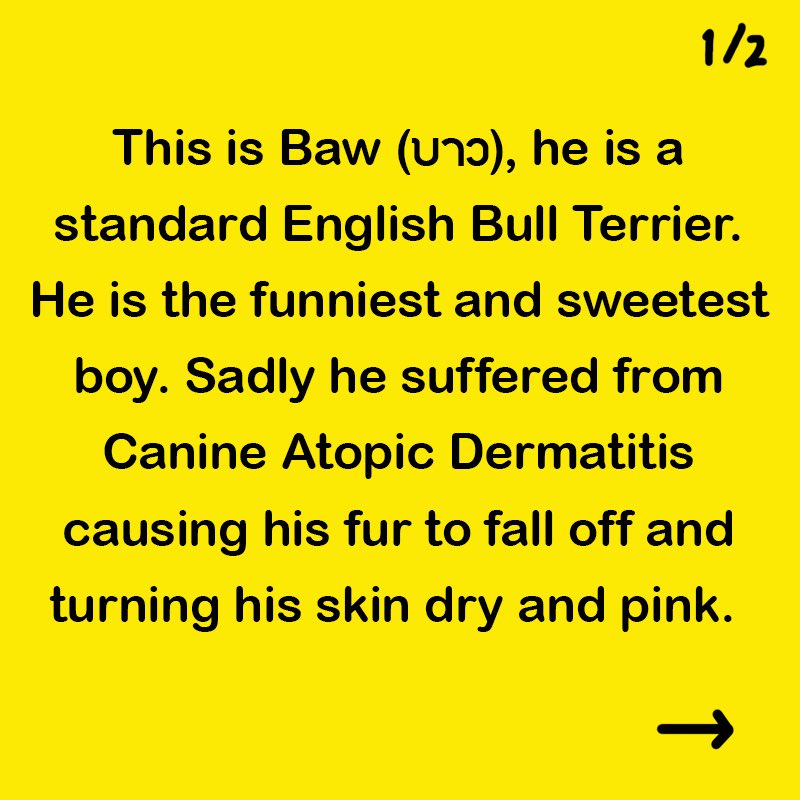 helloBAW's tweet photo. Meet the real Baw :)
#helloBAW #BAW #dogstories #illustration https://t.co/CYeEjEzqI3
