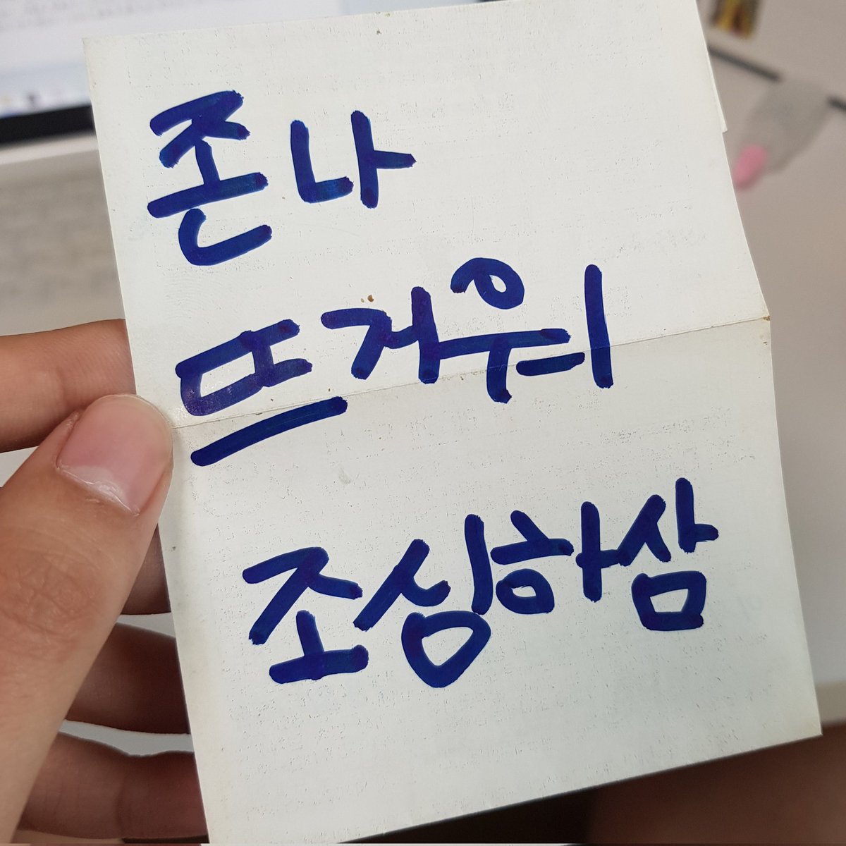 글커미션 돌리 tweet media