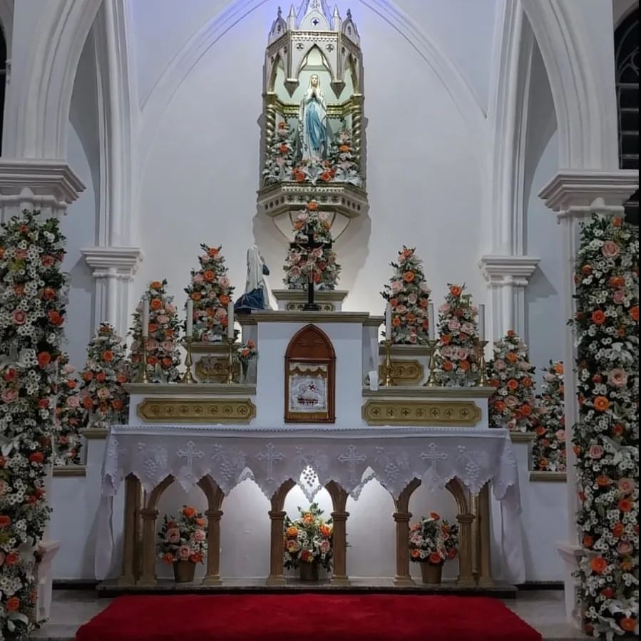 CatolicoBXD's tweet image. Mais um trabalho primoroso da Administração Apostólica 👏

📍Paróquia Pessoal Nossa Senhora de Lourdes, Bom Jesus Itabapoana - RJ.