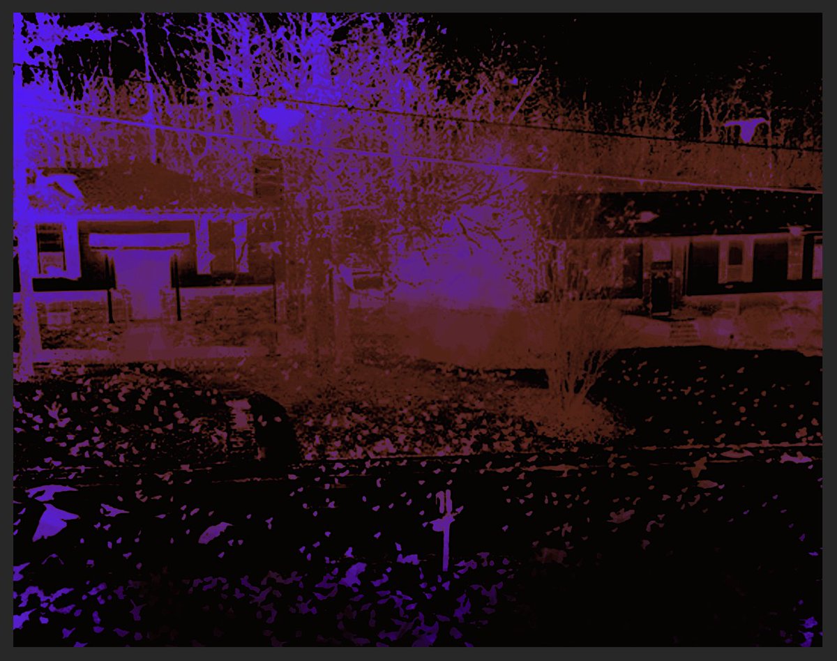 Drewzki13's tweet photo. #Crows by #Drewzki 

#digitalartist #humangeneratedart #artistsontwitter #mac #apple #crow #bird #darkart #dimensional #photoediting #digitalagepicasso #trippy #Aircraft  #mystery #notAI #art #canvas #photoediting #Colors  #3dart #popart #art #layers #hashtags #albumart https://t.co/HzYfoshrVj
