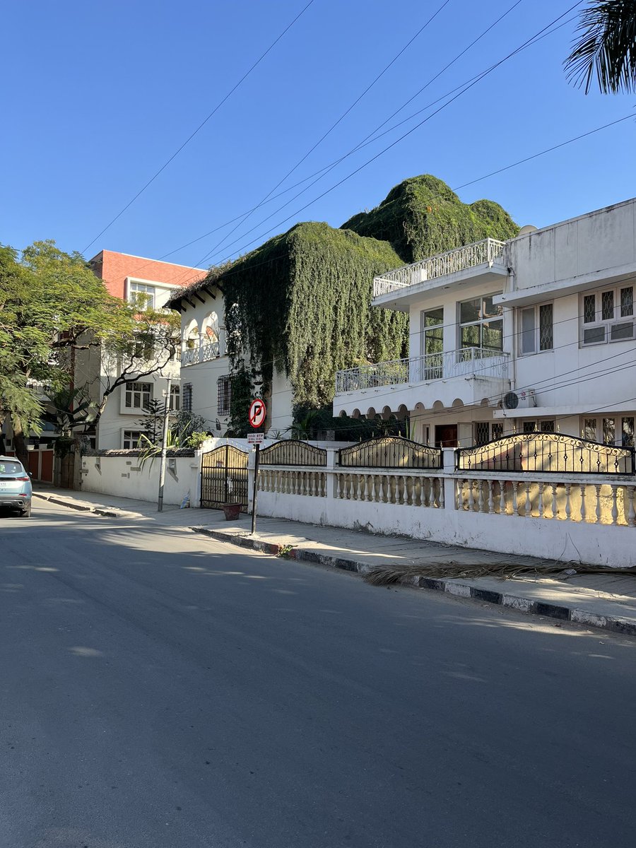 carrottop: happy era tweet media