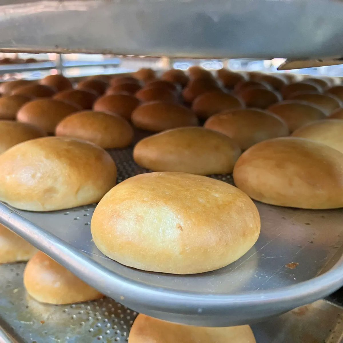 umraniyeilcemem's tweet photo. 🥖Halide Edip MTAL Ekmek Atölyesi’nde ekmek üretimi başladı.
🥖Döner Sermaye kapsamında üretilen ekmekler öncelikle “Okul öncesi eğitimde beslenme desteği projesinde” öğrencilere ulaştırılacaktır.
@tcmeb @meslegimhayatim @memleventyazici
@istanbulilmem 
@mustafaozen3434 https://t.co/7lx7HrKGY7