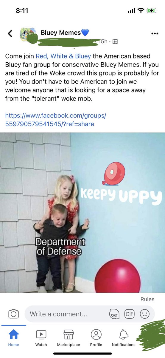 pineapple_pony's tweet photo. Somebody missed the point of Bluey https://t.co/N4XREmcIXc