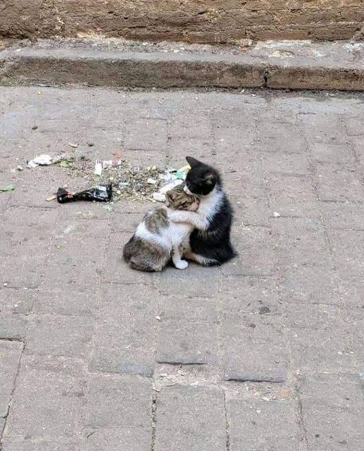 #İstanbul