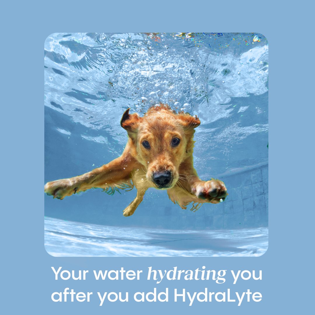 hydralyte for dogs