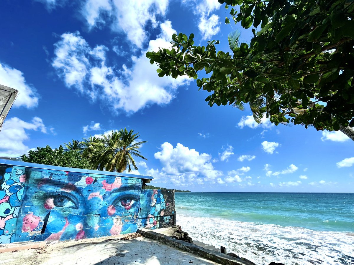 Un mulhousien à l’autre bout du monde 😊🤩🏝 #Poti  #streetart #graff #TropBeauuuuuuu #Holiday #Vacances #Famille <a href="/mulhouse/">Ville de Mulhouse</a>