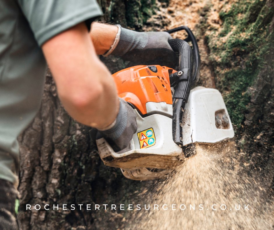 rochester_tree's tweet image. What disturbed you today? Tree problems are easily solved by just one call, call Rochester Tree Surgeons today and you don’t have to worry about tree problems. We do tree cutting, stump grinding and other tree services!
#treeservices #treecutting #treeproblems