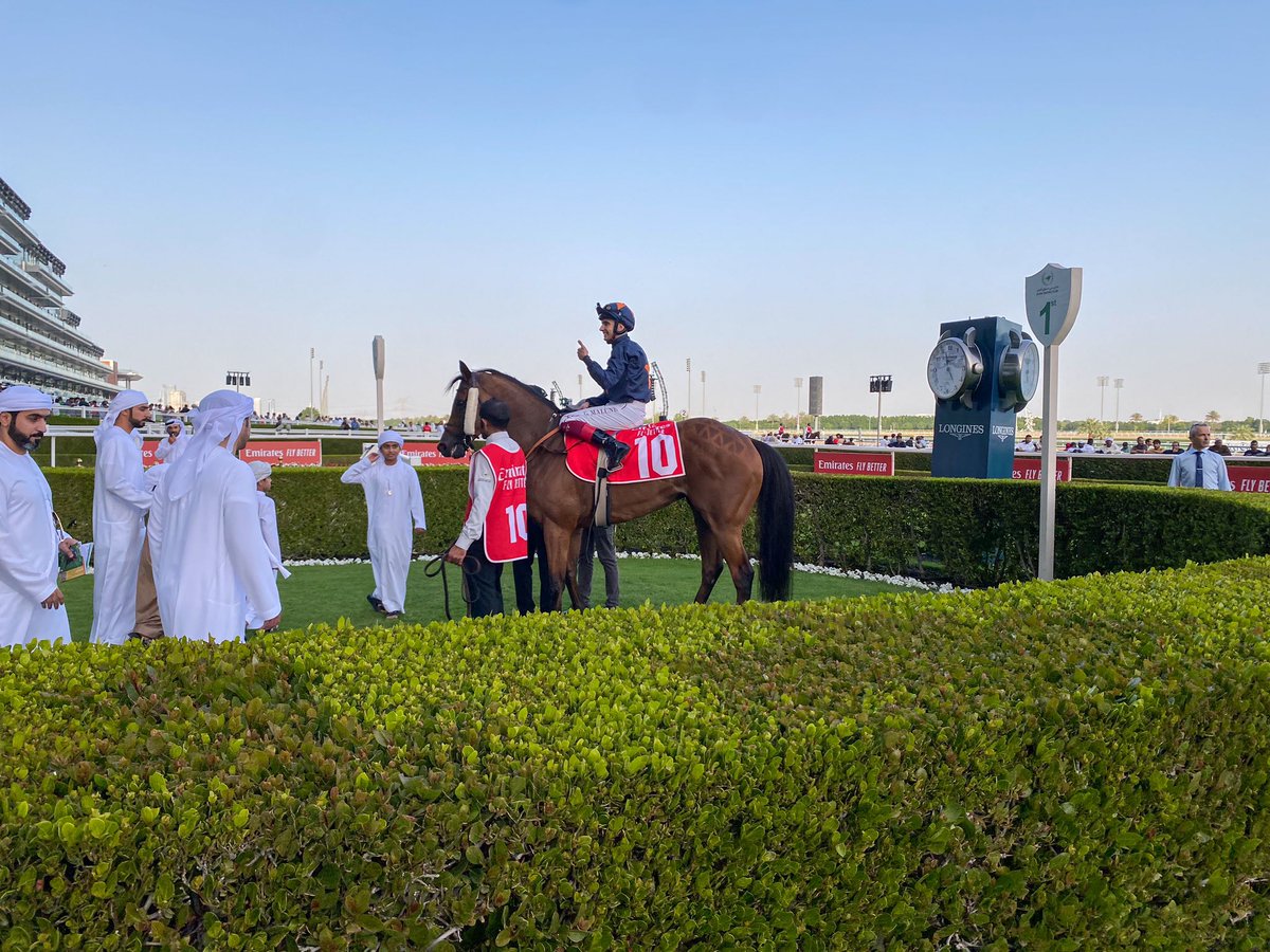AdolphsonRacing's tweet photo. Go on, Gabbie! @Gabrielemalune🇮🇹 wins another grass race well this season, this time with @HarmashRacing’s FIRST WINTER, who was due a big effort. Hats off 🎩 to one of the nicest riders out there. https://t.co/8b6312T1tG