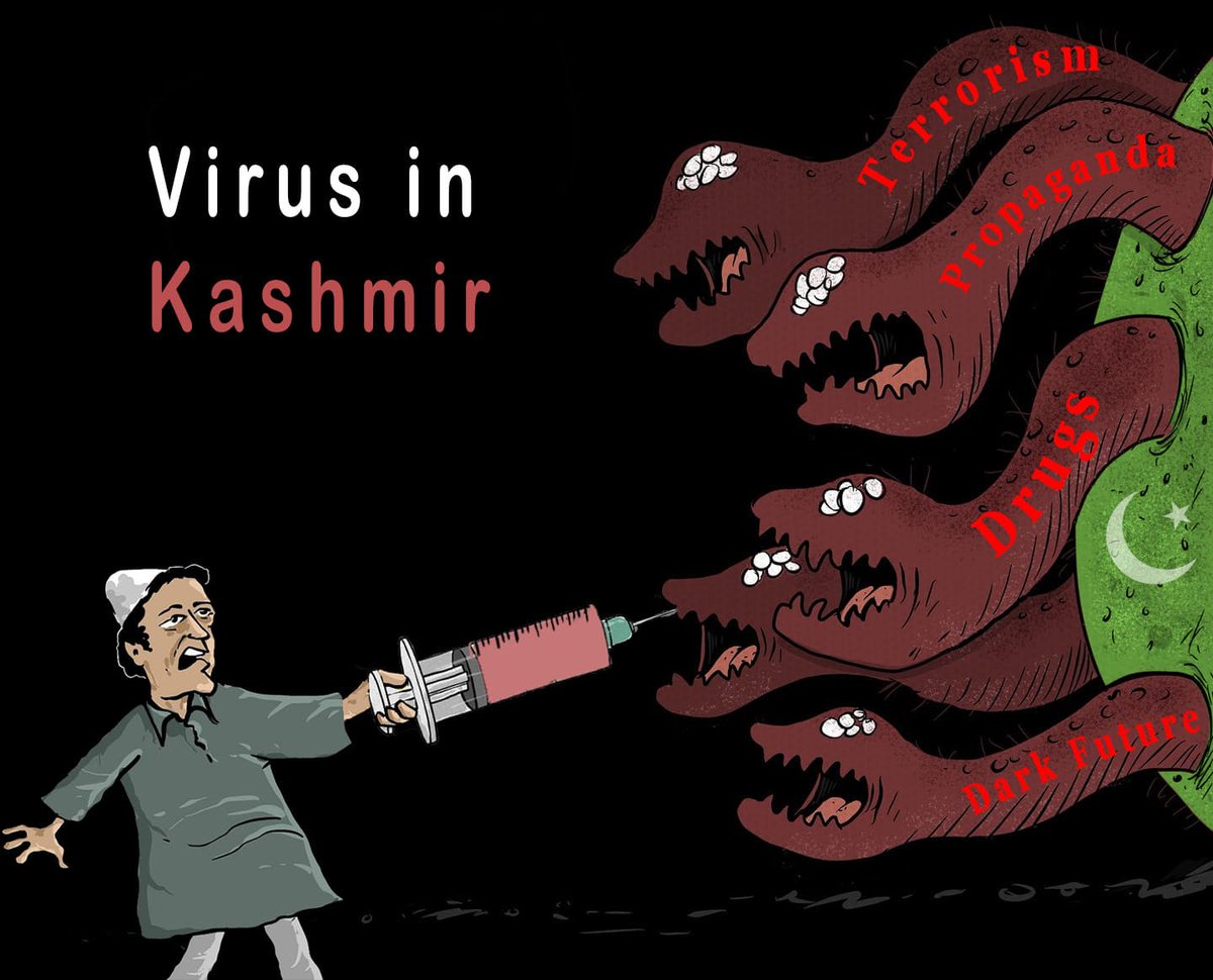 Tarikahmdlon's tweet photo. Peace in Kashmir.
#KashmirSolidarityDay #KashmirSupportsIndia #KashmirDevelopment 
#KashmirSerenityDay #Kashmiriyat #India #Pakistan https://t.co/ZMdaliRq4A