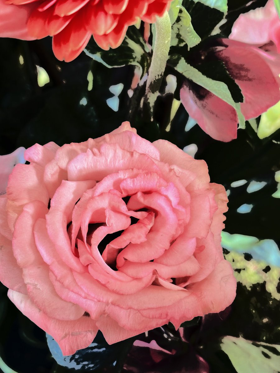 mivaei's tweet photo. ⠀
        මⲙivᥝᥱi͟͞⋆upᑯᥝtᥱ殺᛬ ayrıca s
        ize göstermek istediğim  bir
        şey var, sizin gibi güzel bu ç
        içeklere bakın. 👀 aklıma m
        y들'ı getirdi,
⠀     ❪ ᑯᥝilɣ⁐lifᥱu𖦹nᥱᥕsઢᥕith🤍 ❫
  ⠀    ͞ ⲙiᥒjᥱᦅ❄️ઠᥱᥒᑯinᩅᩛ✮luv᛫✰͜銬
⠀ https://t.co/L7OnOZeqbX