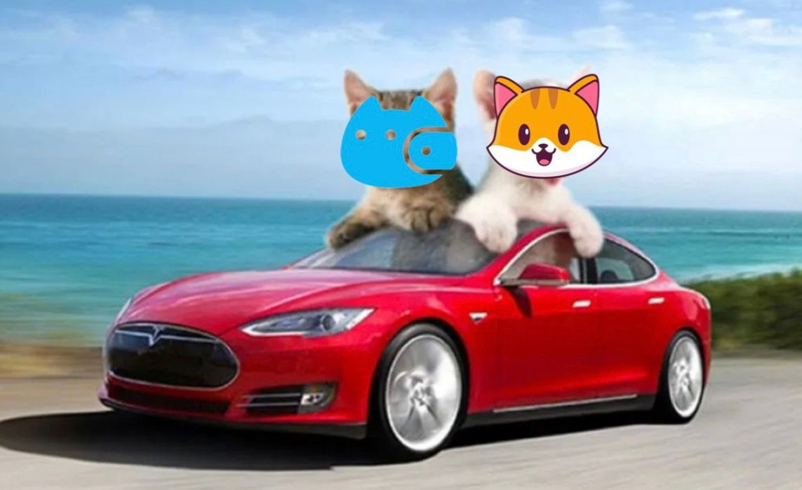 The Sunday Drive!
Sit back and put yourself on auto-pilot mode and relax.
 That's how we celebrate #Catecoin and #Catpay killing zeros.
What it's like to own a <a href="/Tesla/">Tesla</a>❤️
Soon Tesla #CateArmy 
#web3 #crypto #Caturday #cryptowallet