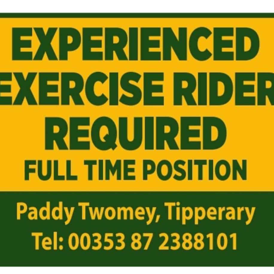 paddytwomey's tweet photo. 1 extra riding position has become available. Top conditions 
Paddy Twomey https://t.co/H8uPVzgA79