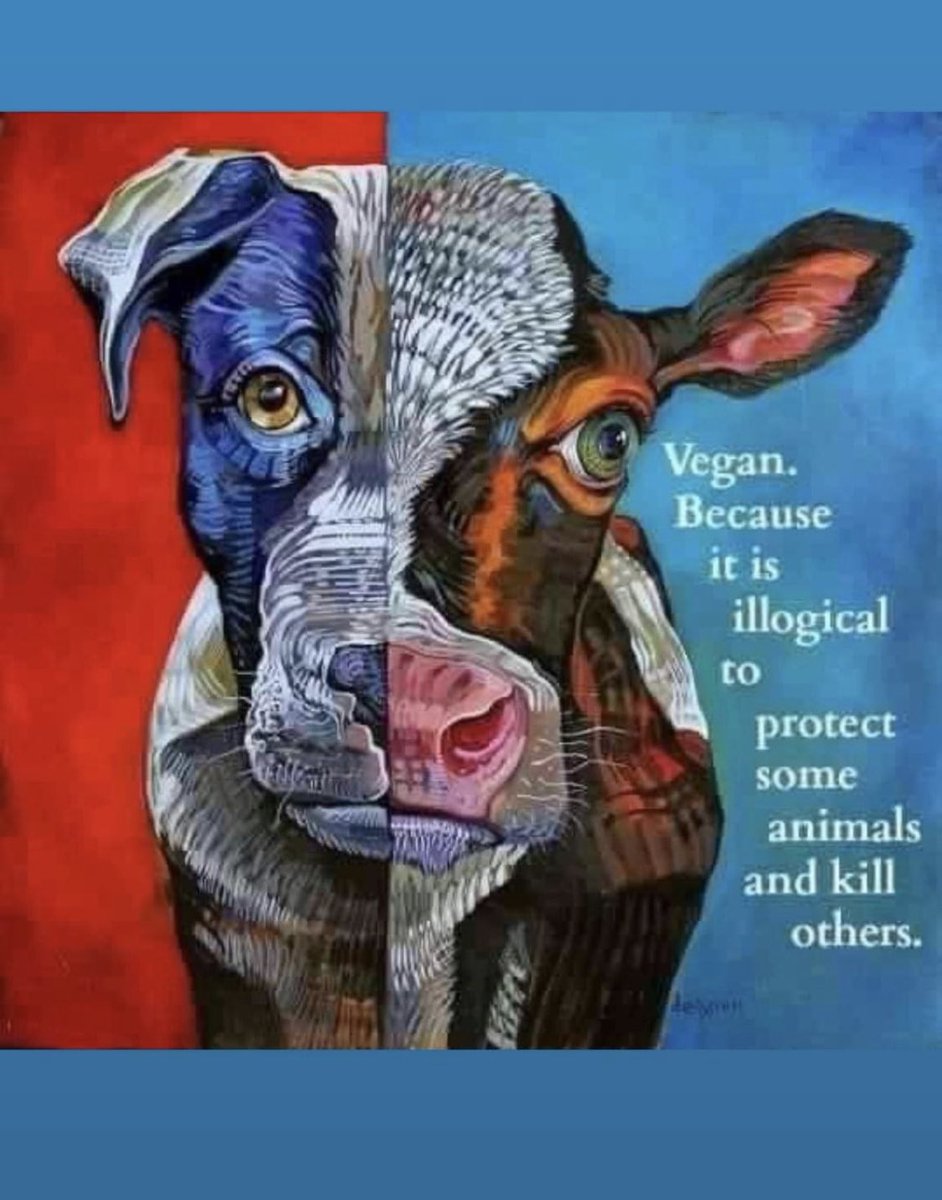 #speciesism #veganfood #veganmilk #veganeggs #veganclothes #veganbaking