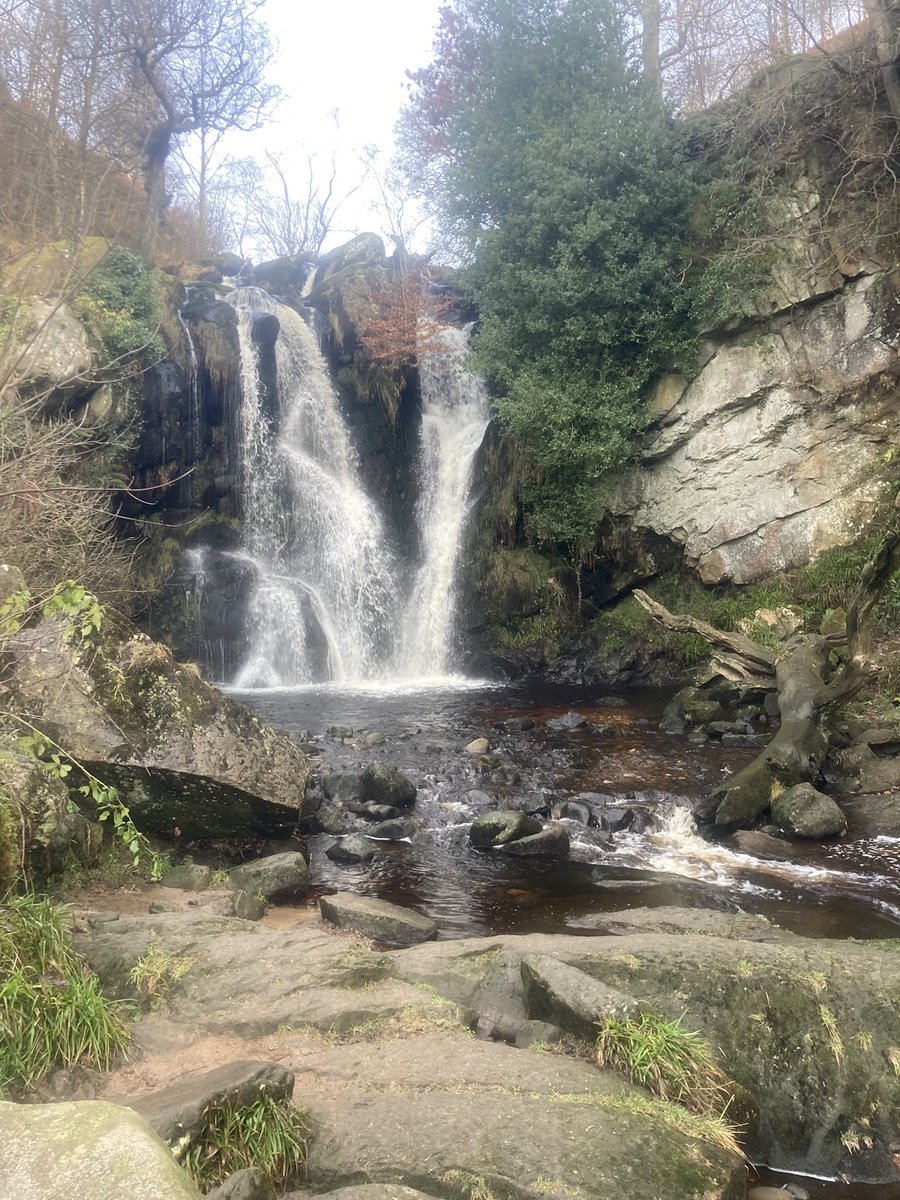 tombell1987's tweet photo. Best day of the weekend. Beautiful morning and enjoyed the peace and views of the Dales. Knocking off the miles. 61.7km of 241.4km boxed off for February.
Keeping Marthaโs memory alive after a tough week ๐๐.
#boltonabbey #simonsseat #valleyofdesolation #walking #mind #health https://t.co/V3R7orey34