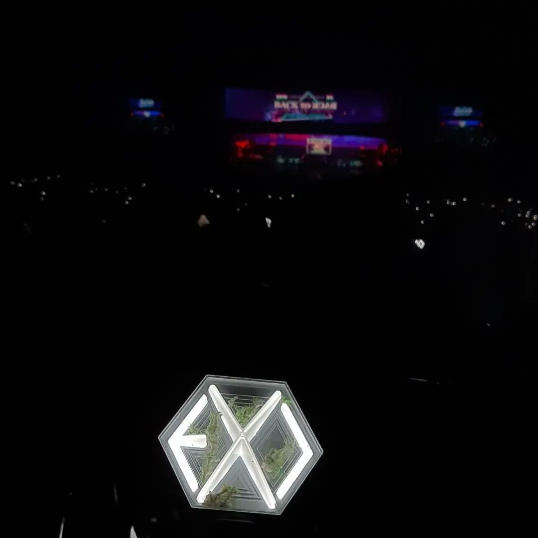 ex_osh94's tweet photo. First time nonton konser dan itu EXO SC
Oh sehun dan Park Chanyeol 🥺❤
#EXOSCinJKT
#EXOSC_BackToBackJakarta
#EXOSC_BackToBack
#EXOSC_IN_JKT #EXOSC 
#SEHUN #CHANYEOL https://t.co/Sc0bs03nH5