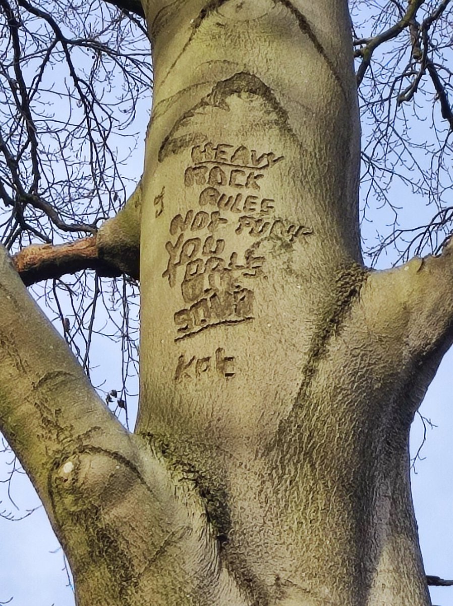 Sometimes if you write sufficiently dated tree graffiti it can be used to gauge growth. This was about 10m up and has to have been written in about 1979