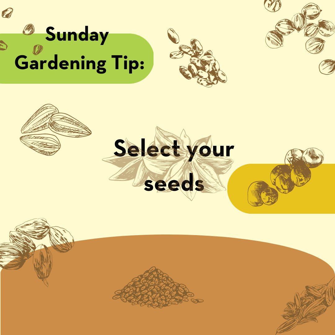 LandToLearn's tweet photo. Sunday Garden Tip: It's time to choose your seeds for the upcoming season. Be sure to select seeds that will pair well with your garden space and your interests. Check your local area for seed sharing initiatives to expand your collection! https://t.co/EsWcP3JQaU
