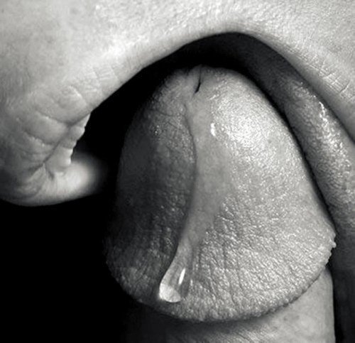 t_clavo's tweet photo. Ultra Zoom para ver tus momentos más eroticos dd una forma diferente. Fotografía erotica para parejas o individuales. Info x Dm. Guatemala. https://t.co/uolHdxezw2