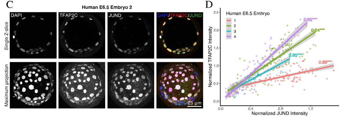 Greg Alanis-Lobato tweet media
