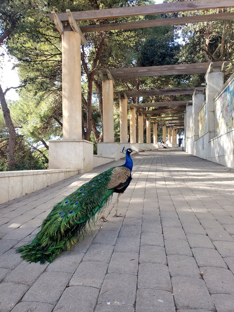 vadephylum's tweet photo. Cómo no voy a presumir de ciudad si Cartagena es una maravilla detrás de otra. https://t.co/sIrUDPOkUs