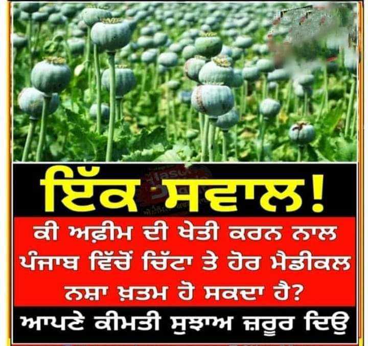 MatharuSukh336's tweet photo. ਦੱਸੋ ਫਿਰ ਤੁਹਾਨੂੰ ਕੀ ਲੱਗਦਾ ਹੈ https://t.co/2LOxiC5QBv