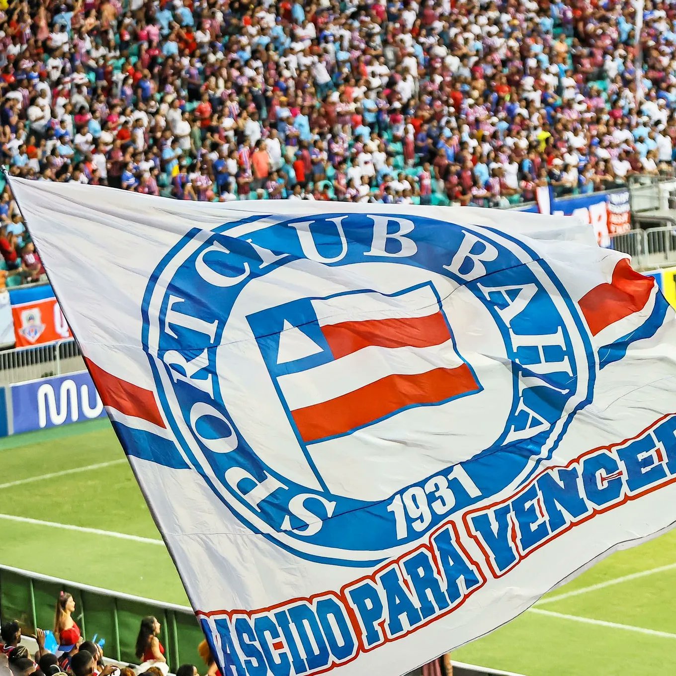 Esporte Clube Bahia on X: 🤲🏼 Alô, Nação! A família da tricolor Lola  agradece quem puder ajudar #BahiaClubeSolidário  / X