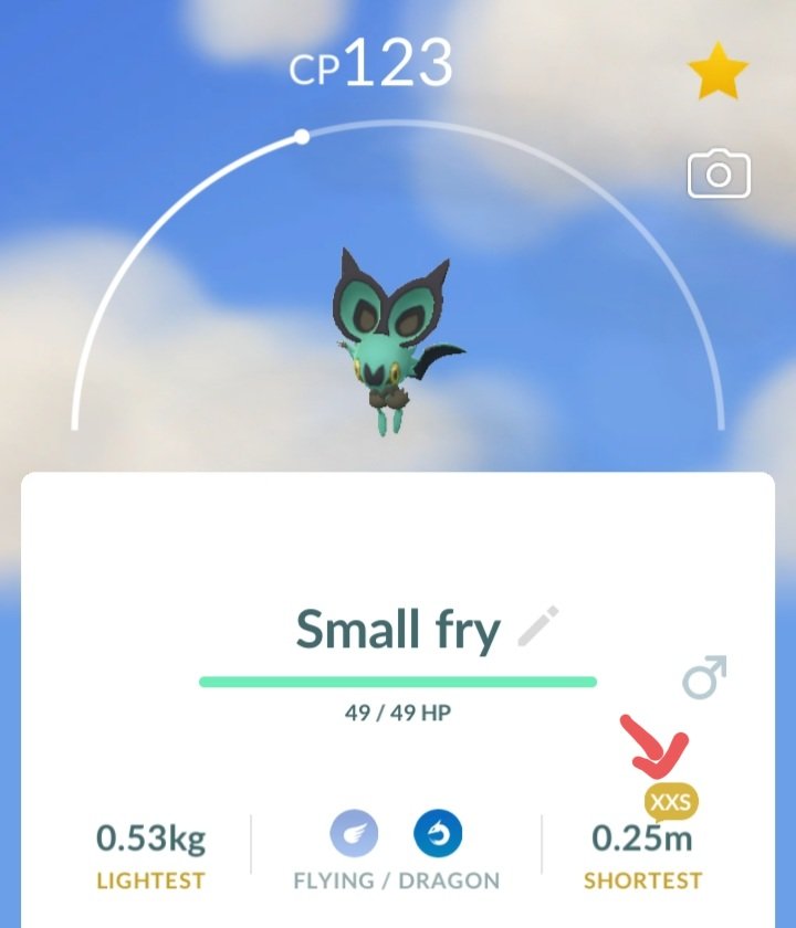 This is Small Fry. Hes XXS sized. If you all dont clap and cheer for him right now Im blowing this whole social media platform up.