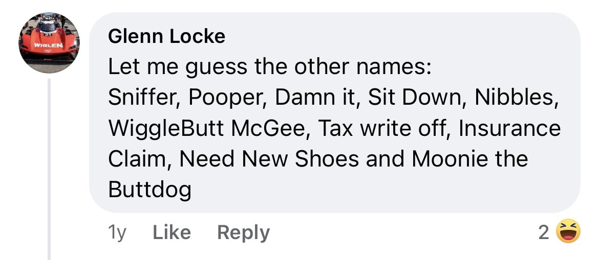 TonyBreadYT's tweet photo. A new (disgusting) detail about Glenn’s perversions was just found out. It’s been known that Glenn has liked Huskies, but every comment he makes is focused on their assholes and bowel functions https://t.co/EtLStx2aPV