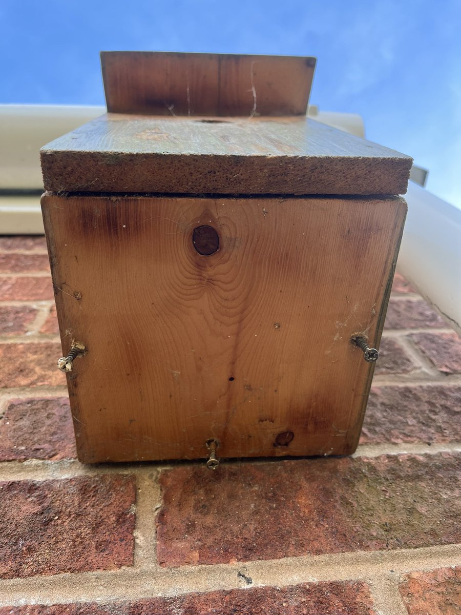 It’s a good time of year to clear out &amp; clean nest boxes, ready for new visitors. Unfortunately there were blue tit eggs left over from last year. There are also gnawing marks from bees that used the same box. 

The old nest had a mixture of moss, tennis ball, pet hair &amp; feathers