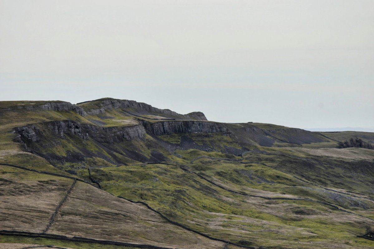 Ellerkin Scar above Askrigg