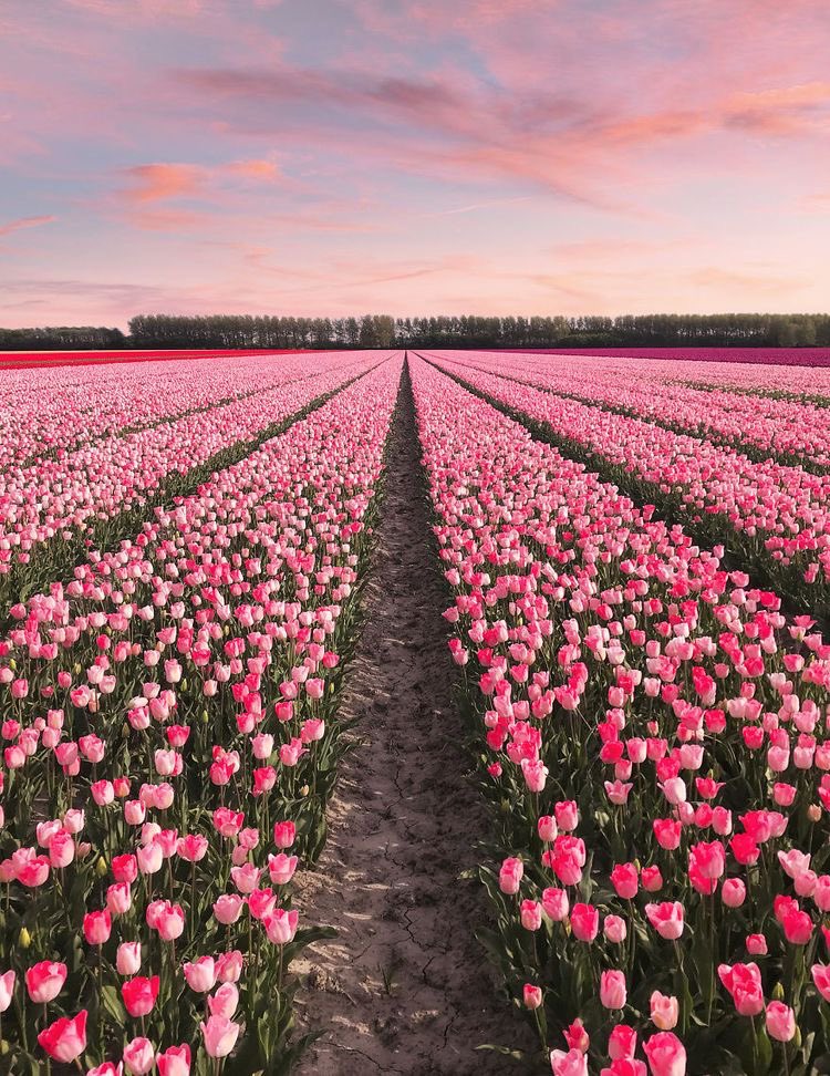 nadiaabh_'s tweet photo. @mariaalmenta https://t.co/uRYr9JpMMB