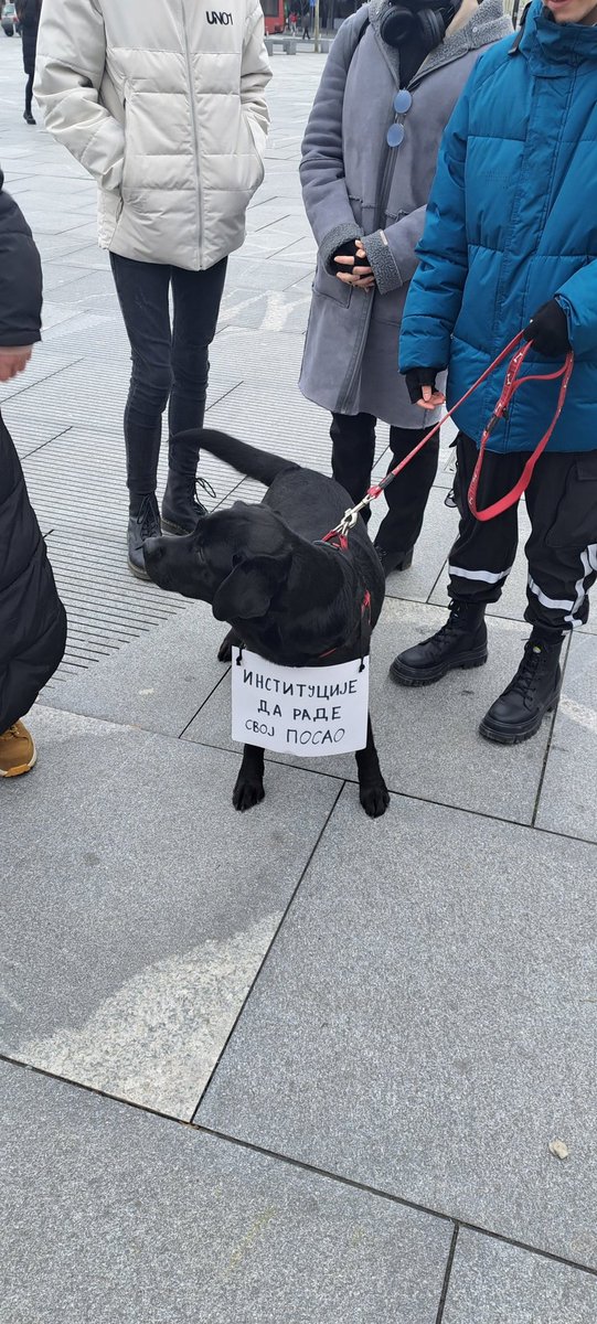 Podrška"Protestu za dobrobit životinjama u prihvatilištima"!
<a href="/SlobodaIPravda/">Stranka slobode i pravde</a> 
<a href="/pokretslobodnih/">Slobodni građani</a>