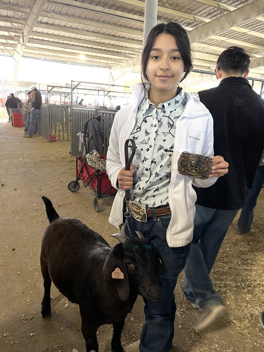 FFA_Memorial's tweet photo. South Texas Agricultural Roundup (STAR) was a success for @FFA_Memorial  Champion Market Goat; Champion Breeding goat Junior Showmanship; Reserve Champion Breeding Goat Showman @McAllenISDCTE @Pride_Mustangs @McAllenISD https://t.co/67oiF9Sgbr