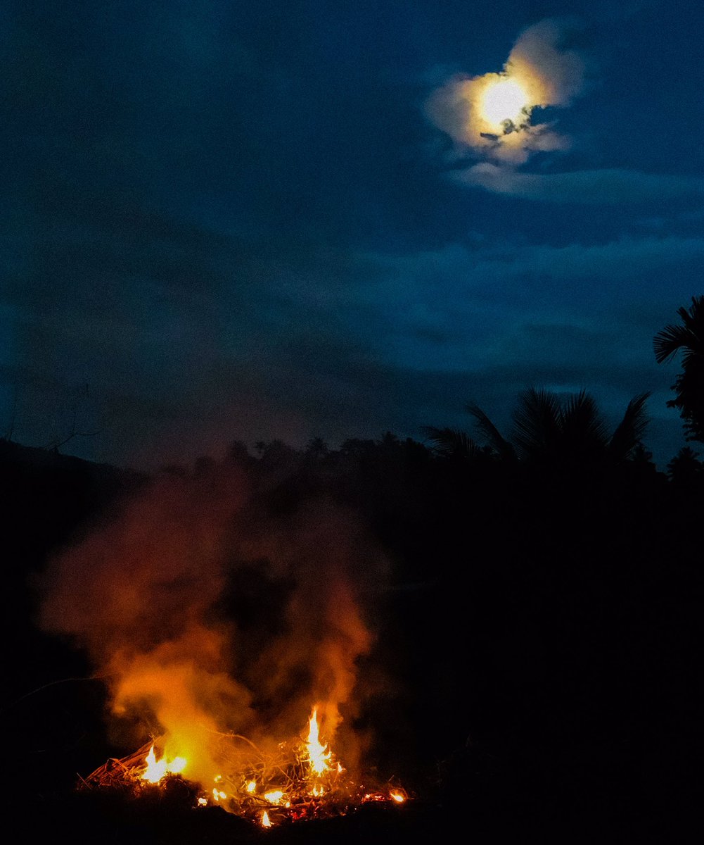 Kavishk_A's tweet photo. 🌝🍃
#nightlife #night https://t.co/XGzURLQ1Wj