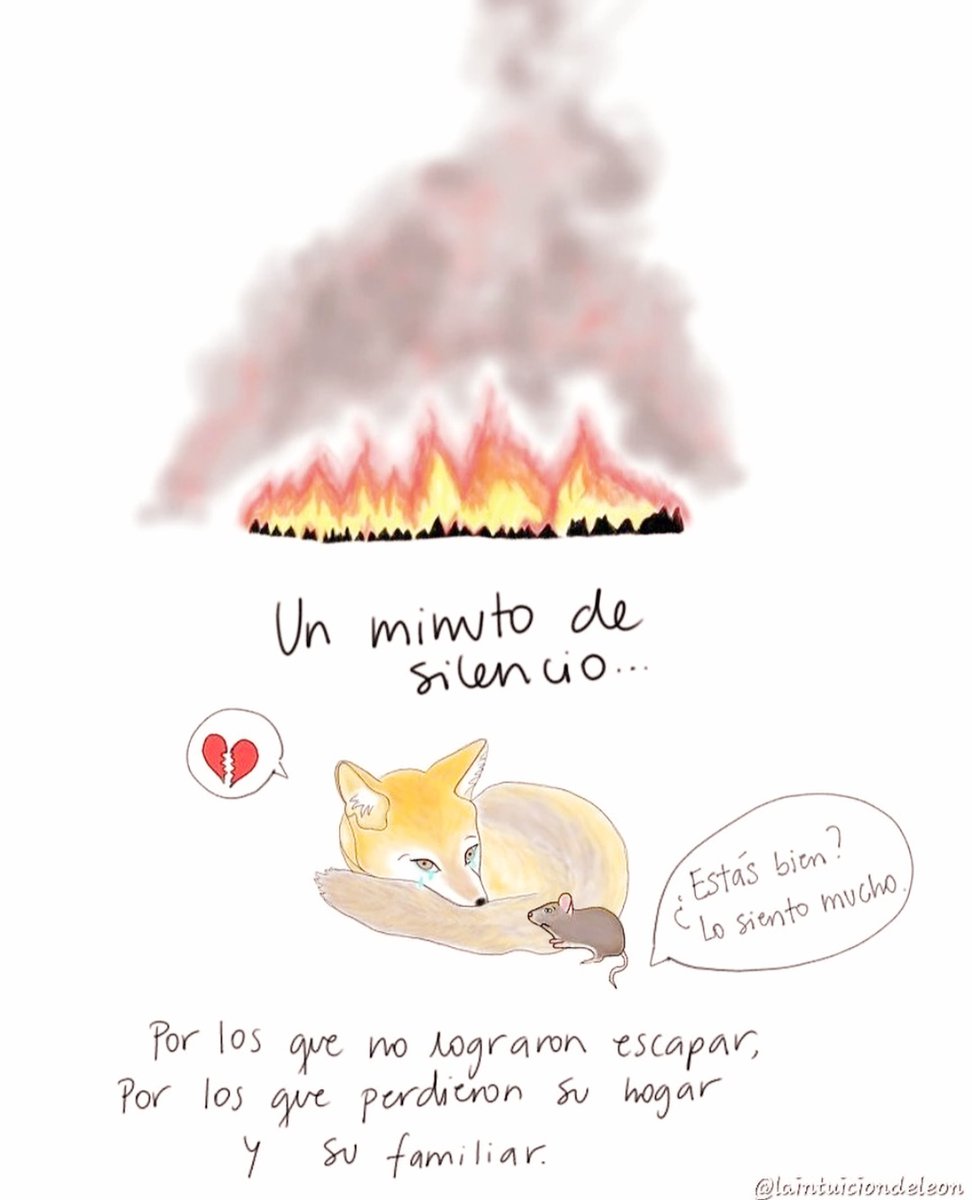 MariBlu62403551's tweet photo. No seamos indiferentes.  La indiferencia nos separa a todos 💔.
Ilustración: @lainstituciondelleon #IncendiosForestales https://t.co/Ln7454H1Ld