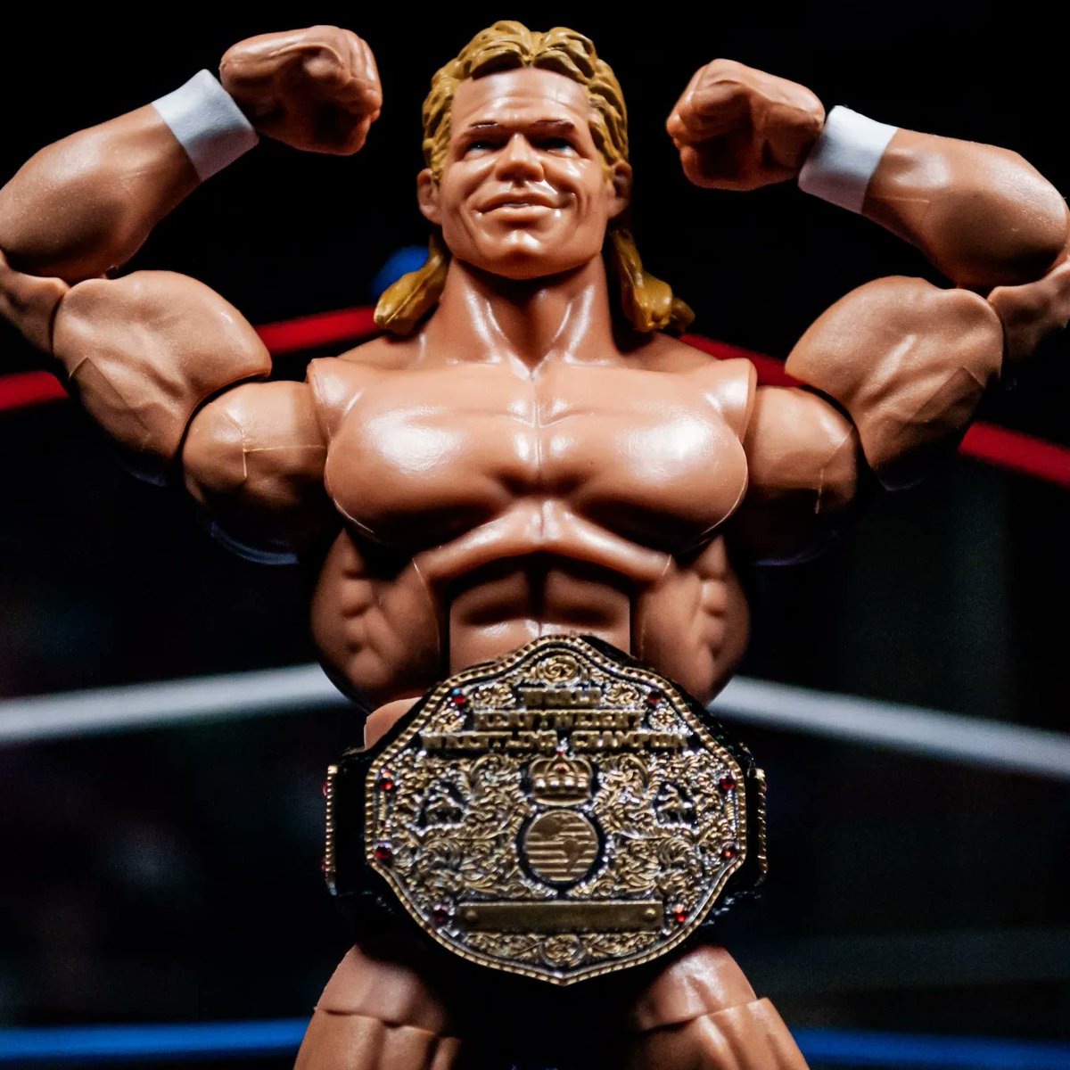 What if @GenuineLexLuger didn't join the nWo, and instead became WCW World Heavyweight Champion?

(WCW World title made by Forbidden Figurines)
#wcw #wwe #nwo #mattel #elitelegends #lexluger #wrestling #photography #newgenring #mattelcreations #forbiddenfigurines