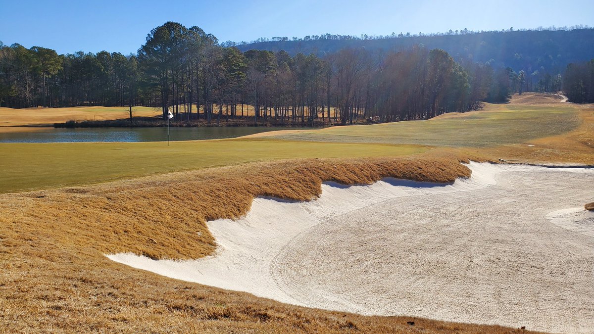 standardkev's tweet photo. Not gonna lie... Looking forward to some warm temps and green grass this week in Orlando. #GCSAAConference
#AlabamaWinter #ThrLegacyCourse https://t.co/zciy831CJZ
